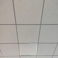 Placas de Techo Falso de Fibra Mineral Modernas, Sistema de Rejilla, Clase A, Ignífugas, Insonorizantes, para Uso en Oficinas