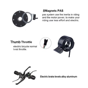 电动自行车后轮改装套件 48V 1000W 齿轮电机 52V 兼容 135mm 车架刹车类型 完整安装包 - Product Image 6