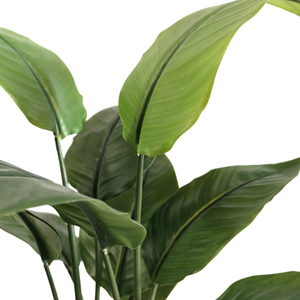 Árbol de Plátano Artificial al por Mayor, Mini, de Primera Calidad, Apariencia Realista, Tacto Real, Decoración para Interiores, Jardín, Hotel, <span class=keywords><strong>Ravenala</strong></span> Artificial - Product Image 3
