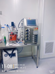 Bailun เสื้อแจ็กเก็ตเครื่องปฏิกรณ์ชีวภาพแบบชั้นเดียว15L เครื่องปฏิกรณ์ชีวภาพวัคซีนป้องกันไข้หวัดใน BLBIO-GJG - Product Image 5