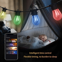 Guirlande Lumineuse Extérieure Intelligente HRSYT DC24V S14, Ampoules Incassables Étanche IP65, Décoration de Jardin, Fêtes et Vacances, RGBWIC