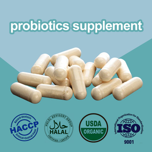 Bột Probiotic số lượng lớn 9 trong một hỗn hợp Bột men vi sinh 100 tỷ CFU/G - Product Image 3