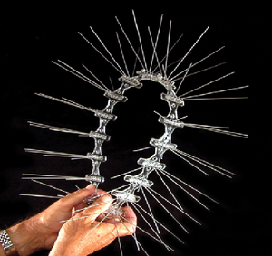 Eco-Friendly Solar Panel Bird <strong>Barrier</strong> <strong>Spikes</strong> Bird <strong>Spike</strong> Repellent Plastic Bird Protection <strong>Spikes</strong> - Product Image 3