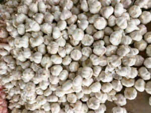 Aglio Bianco Naturale Puro, Pelle Sottile, Forma Rotonda 4.5-6.0cm, per Condimento Insalata con Aroma Piccante - Product Image 3
