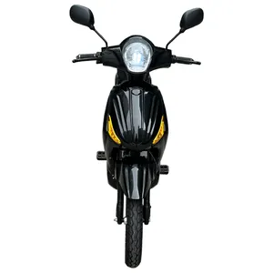 电池可提取电动摩托车48V 500W 800W带踏板电动自行车