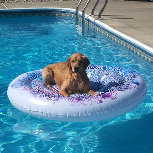 Venta al por mayor tamaño personalizado al aire libre enterrado niños pequeño perro <span class=keywords><strong>piscina</strong></span> mascota fibra de vidrio buceo <span class=keywords><strong>piscina</strong></span> sobre el suelo <span class=keywords><strong>piscina</strong></span> - Product Image 4