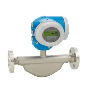 Endress + Hauser Coriolis Proline Promass E 300 düz tek tüp tasarımı Coriolis debimetre