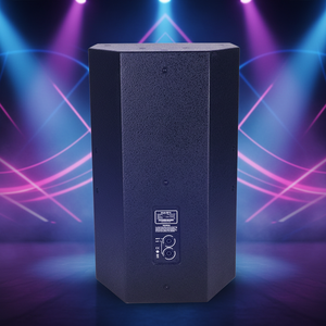 Système de sonorisation professionnel pour scène, ensemble complet de haut-parleurs de karaoké pour home cinéma, <span class=keywords><strong>10</strong></span> pouces, 12 pouces, barre claire, 315W, 8 ohms - Product Image 5