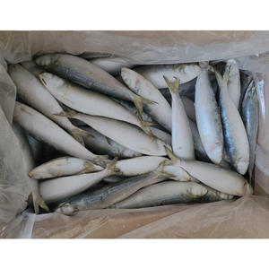 Sardinas Congeladas al por Mayor, Fabricantes de Sardinas, Sardinas Enteras Redondas BQF - Product Image 5