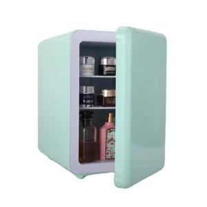 Evercool classico 12V 24V 10 litri frigorifero portatile per trucco Mini frigorifero prezzo