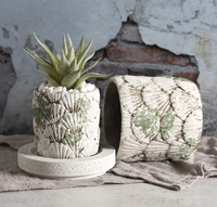 Jardinière en ciment conçue en coquille en détresse 3.5 pouces Pot de plantes en pierre unique pour décor de jardin intérieur extérieur