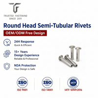 Rivets semi-tubulaires à tête ronde personnalisés TianFang pour la production de manches de couteaux, en acier inoxydable passivé, production de précision