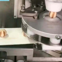 LONGYU, máquina automática de incrustaciones de galletas, Chips de Chocolate multifuncionales, línea de máquina para hacer galletas rellenas, 2017