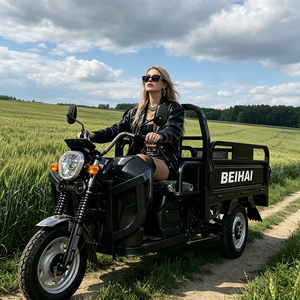 2026 BEIHAI Tricycle Supercar à Trois Roues Économique Mini 60V 2000W Scooter Tricycle Passager à 3 Roues pour Adultes - Product Image 2