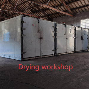 Prezzo di fabbrica rotondo 50mm 20 pezzi carbone dorato narghilè luce rapida carbone fortunato Bakhoor No Spark <span class=keywords><strong>Barbecue</strong></span> 4 fori carbone - Product Image 4