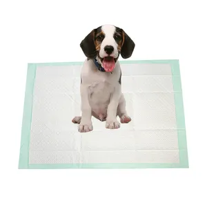 Haustier Welpen Training Pee Pad Erwachsenen Urin Pad für Hund