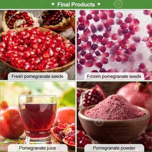 Машина для отделения мякоти и семян граната Aril Breaking Passion (сепаратор гранатовых косточек) - Product Image 6