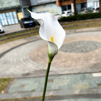 Großhandel 52cm Calla-Lilie Künstliche Blume für Hochzeitssträuße Fotografie-Requisiten Heimdekoration