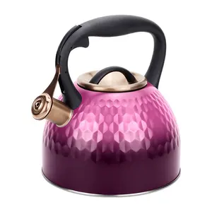 Gradient Color Coating Stainless Steel Whistling Tea Kettle Stove Top Teapot With Loud Whistle and Anti-Heat Handle