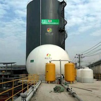 Système de Biodigesteur Biogaz à Digesteur Anaérobie de Type Tour de 5000 M3 avec 1 An de Garantie et un Poids de 1000 kg pour l'Élevage Porcin