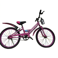 Vélo de montagne pour enfants 12'' 16'' à une vitesse, pour l'extérieur, pour les parents et les enfants, vélo de sport amusant