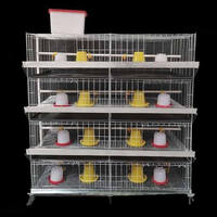 Nouvelle cage à poulets galvanisée de type H pour petits poussins et poulets de chair avec système d'abreuvement automatique