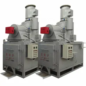 Pet Cremation Machine Animal Incinerator Solid Waste Treatment HLPG-50-2 HOLY Shield 15000L/H Provided 700-1000 Kg/t