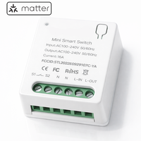 Module d'interrupteur intelligent Wi-Fi Matter 16A, disjoncteur relais, contrôle sans fil HomeKit, compatible Alexa Google Home Tuya Garage