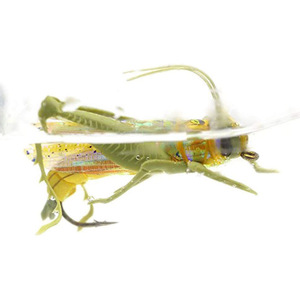 Leurre bionique artificiel de pêche à la mouche crochet de criquet réaliste <span class=keywords><strong>action</strong></span> flottante appât attrayant personnalisation - Product Image 2
