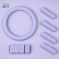 Kit de Pilates con Logotipo Personalizado para Mujeres, Entrenamiento en Casa con Anillo, Pelota, Bandas de Resistencia y Discos Deslizantes para Ejercicios de Core