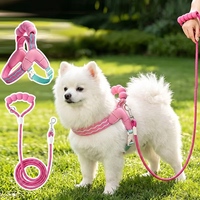 Harnais respirant pour animaux de compagnie avec sangle dorsale, laisse pour chiens et chats, pour petits chiens, vente en gros