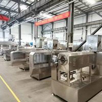 Fournisseurs de machines de traitement d'aliments pour bébés pour la fabrication de bouillie de riz instantanée