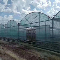 Serre agricole intelligente 10x30m, tunnel de culture hydroponique, structure de serre, système de culture hydroponique