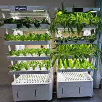 Jardin d'intérieur intelligent avec éclairage LED à commande tactile et réglages de pompage flexibles, technologie de culture hydroponique sur comptoir