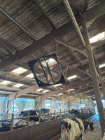Ventilateur mural électrique robuste de 72 pouces à roulements à billes pour l'élevage laitier, grand volume d'air pour le contrôle de la température des étables