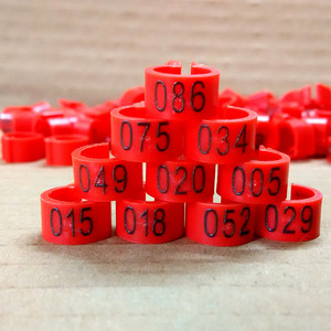 <span class=keywords><strong>Plastic</strong></span> Vogel Duif Clip Bandjes Open Ring Identificatie Ring Homing Kippenpoot Band Duif Voor Kanarie Parkiet Vink Tortelvogel - Product Image 4