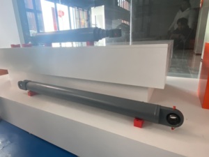 Cylindre hydraulique à double effet pour camion poubelle, fourni par l'usine - Product Image 1