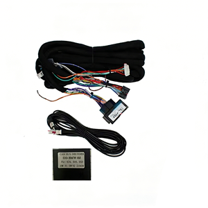 适用于 BMW E53 X5 Android 收音机升级，OD-BWM-02 即插即用 CAN 解码器接线套件 - Product Image 1