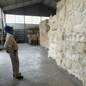 100% Natural Sisal Fiber High Quality Bleached White East Africa Raw Material for Concrete Non-woven Fabric Filling Use - Product Image 3
