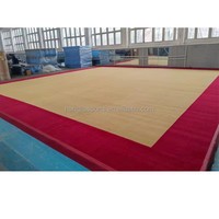14m X 14m Rhythmische Gymnastik-Bodenteppich Trainingsmatte Wettkampftyp Sprungbodensystem für Trainingsanlagen