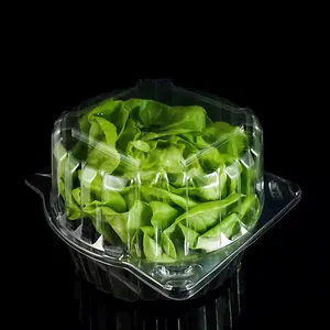 Hot Sell PET Plastic Clear Vegetables Packing Container Supermarket Packaging Clear Box