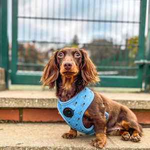 TOPBUDDY カスタム柄プリント ネオプレン製 犬用ハーネスセット - Product Image 5