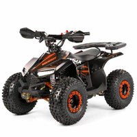 Quad Tao Motor 2024 110cc automatique avec marche arrière, quad chinois pas cher pour la ferme