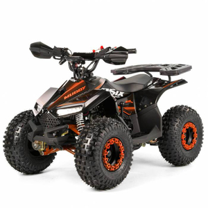 Quad Tao Motor 2024 110cc automatique avec marche arrière, quad chinois pas cher pour la ferme - Product Image 3