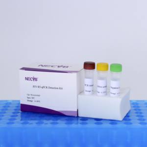 Kit de test qPCR rapide pour les étranglements (S. equi) chez les animaux équins-Haute sensibilité et spécificité - Product Image 5