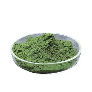 Protoga Fabriek Prijs Groothandel Hoge Inhoud Chlorella Poeder Voor Cosmetica Gezichtsmasker