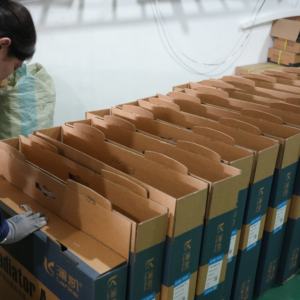 Pièces automobiles en gros, réservoirs en plastique 133038/133040/133053/133065/133069/133074/133075/133082/133083, <span class=keywords><strong>radiateur</strong></span> pour Peugeot 307/<span class=keywords><strong>206</strong></span> - Product Image 6