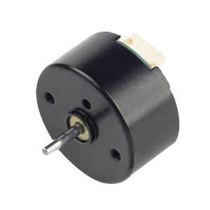 Motor BL2412 sin escobillas de CC 5V 12V 24V 7000 RPM 24 mm para vehículos RC y juguetes - Product Image 1
