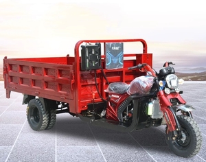 Camión de carga de combustible volquete doble de 5 ruedas de alta calidad, neumático de 12 pulgadas, motocicleta triciclo refrigerado por agua de 250cc para transportes de carga - Product Image 6