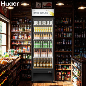 Equipo de Hostelería, Refrigerador para Bebidas Frías, Refrigerador para Frutas y Verduras, Precios de Refrigeradores para Bebidas - Product Image 4